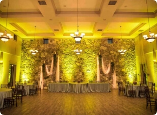 Wedding uplighting, shade 7 of 12.