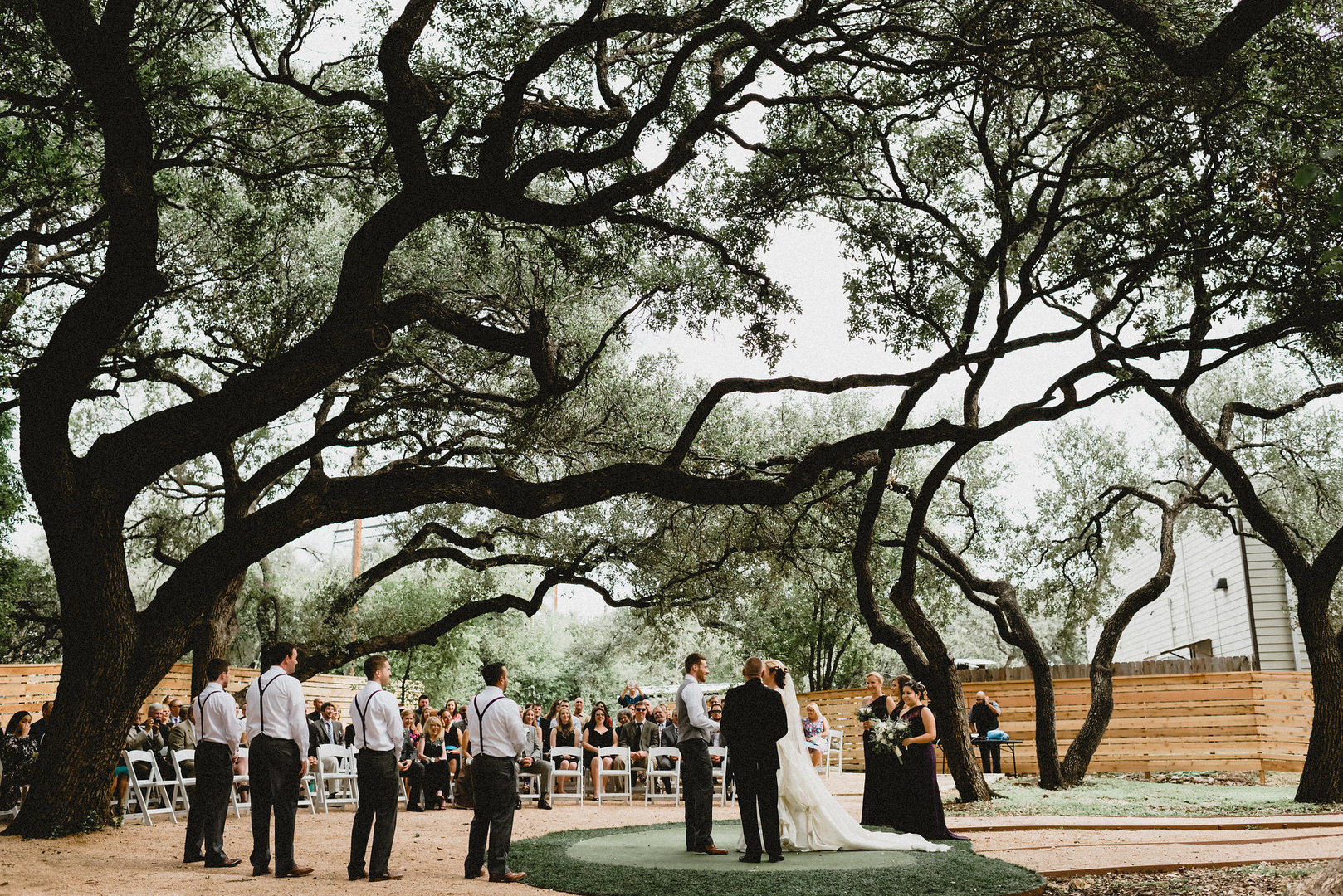 A wedding ceremony takes place outdoors under large, sprawling trees at one of the picturesque San Antonio wedding venues, with guests seated in rows and the wedding party standing nearby.